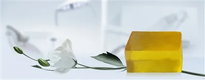 A Brief Analysis Of The Application Of Hot-Melt Adhesive in Trapping Insects And Flies A Brief Analysis Of The Application Of Hot-Melt Adhesive in Trapping Insects And Flies